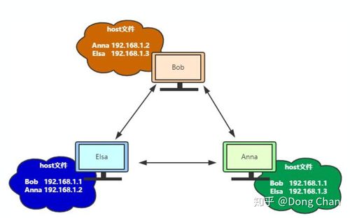 host dns