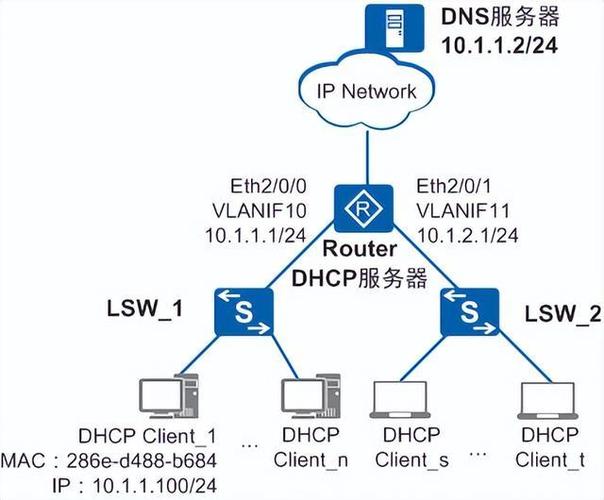 host dns