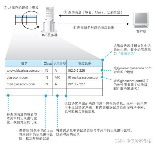 关于如何查询DNS地址，以下是详细的步骤和不同方法的解析