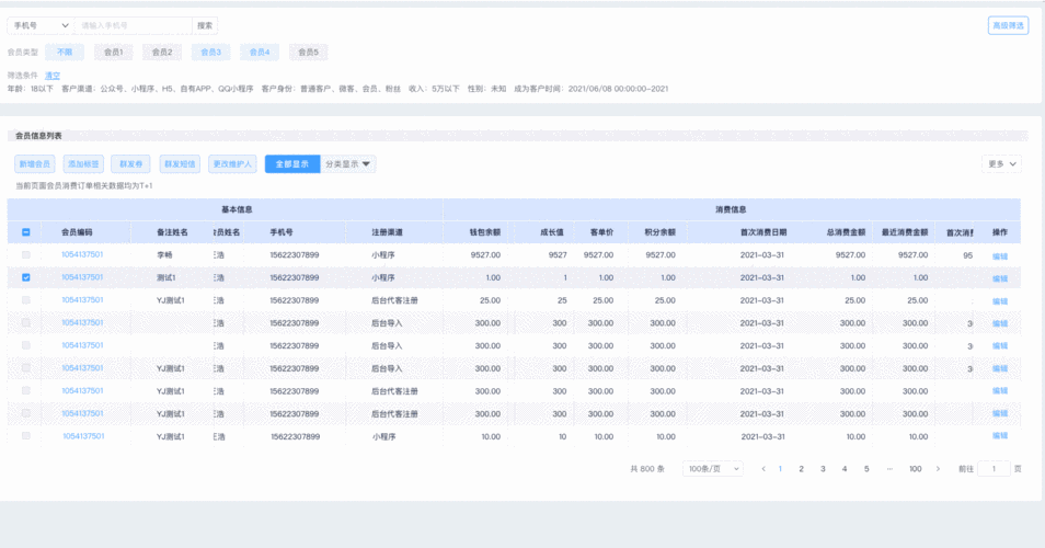 查询系统网页制作