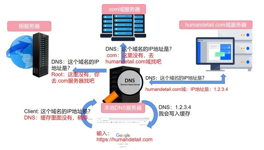 DNS查询服务解析