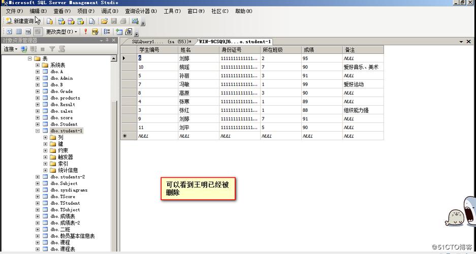 SQL查询返回DataTable