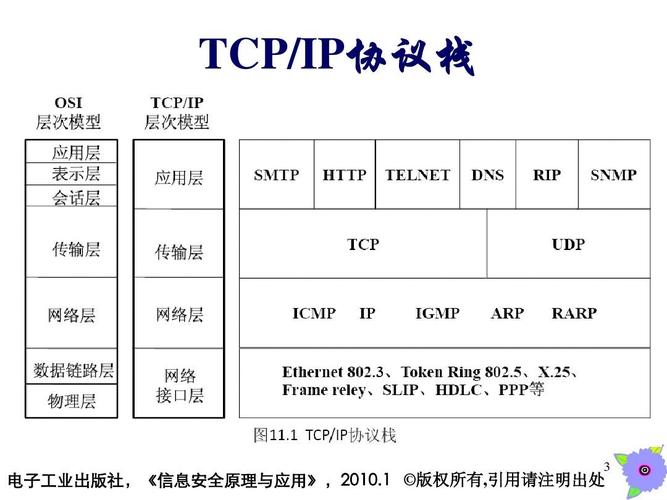 DNS协议是什么？