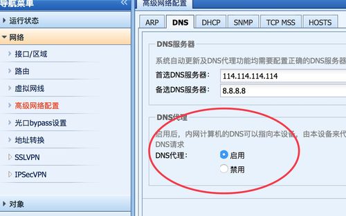 新疆移动DNS服务全面解析