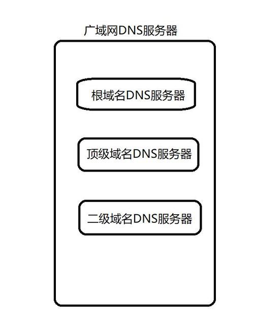 DNS号详解