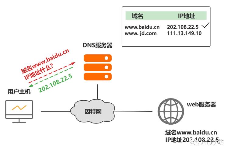 DNS号详解