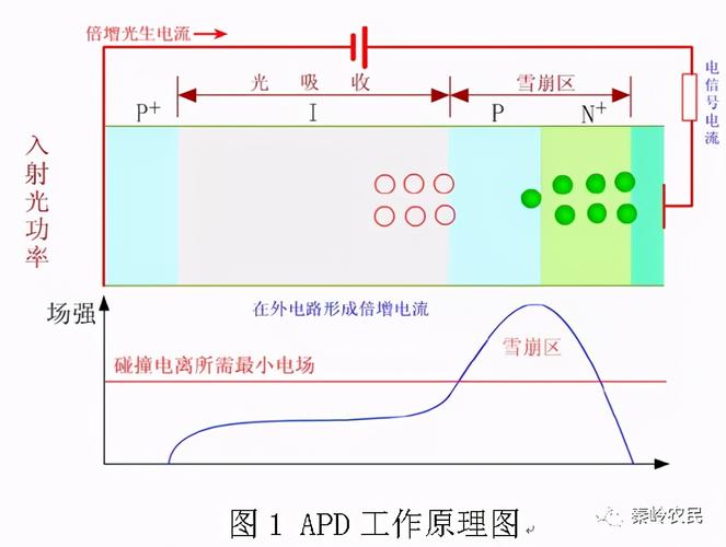 探究ping程序的工作原理与应用