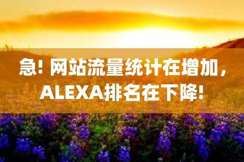 Alexa域名查询是一个广泛应用于互联网的行业工具，主要提供网站流量排名、访问量以及其他相关网络指标的数据服务。下面将详细介绍Alexa域名查询的相关信息和具体功能。