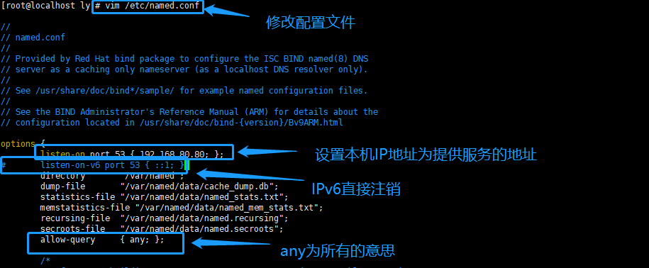 深入理解DNS反向查询