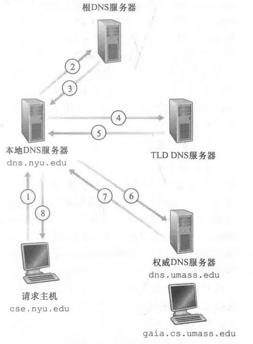 dns实现