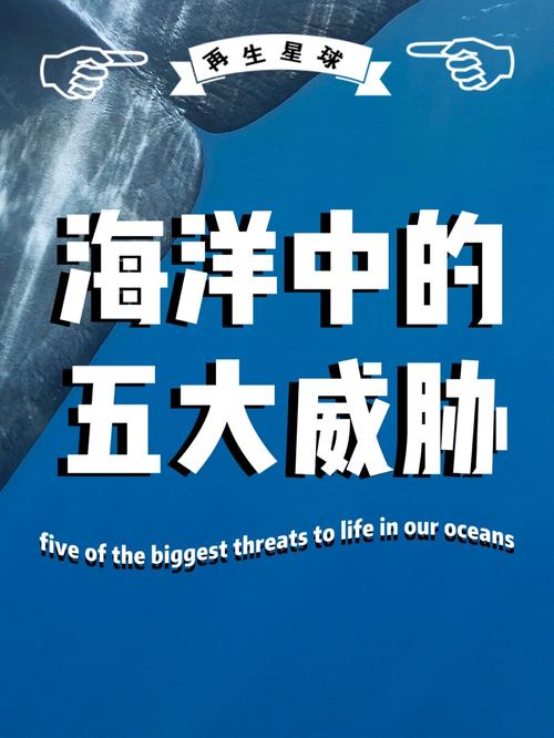 在互联网的海洋中，网站空间相当于是每一个网站物理存在的家园。了解一个网站的起始点从知晓其托管在哪里开始。下面将深入探讨如何查询网站空间的不同方法，并提供详细的步骤和相关工具的介绍。