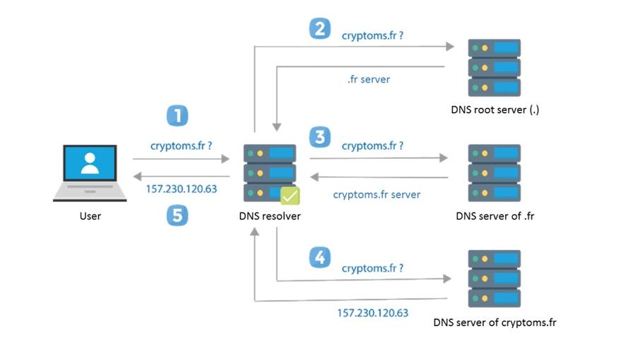 站长DNS