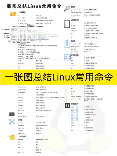 深入理解Ping响应时间