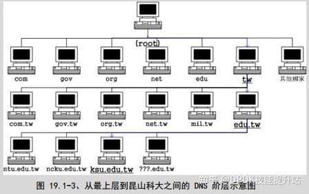 1. DNS定义