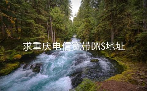 重庆电信DNS地址是网络连接中的一个重要组成部分，它负责将人类可读的域名转换为机器可读的IP地址。这一转换过程对于网络资源的访问至关重要，因为它直接影响到网络速度和稳定性。本文将详细介绍重庆电信的DNS服务器地址，并解释其重要性。