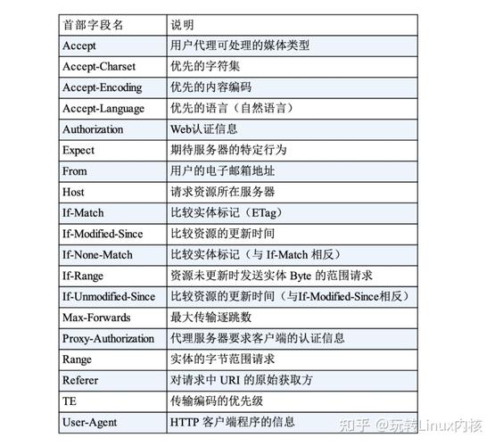 深入了解域名资料查询