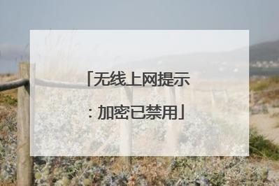 DNS禁用及其影响