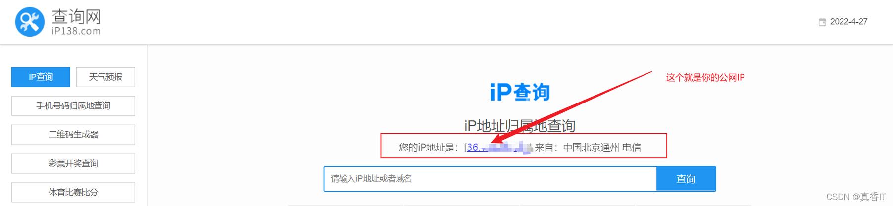 深入了解IP注册信息查询