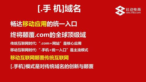 域名是互联网的一项基础资源，其重要性不亚于网站的门牌号。了解国际顶级域名的查询方法不仅可以帮助个人或企业掌握自身域名的注册信息，还能在必要时进行域名的购买、出售或是维权。本文将详细介绍国际顶级域名查询的方法及其相关信息。