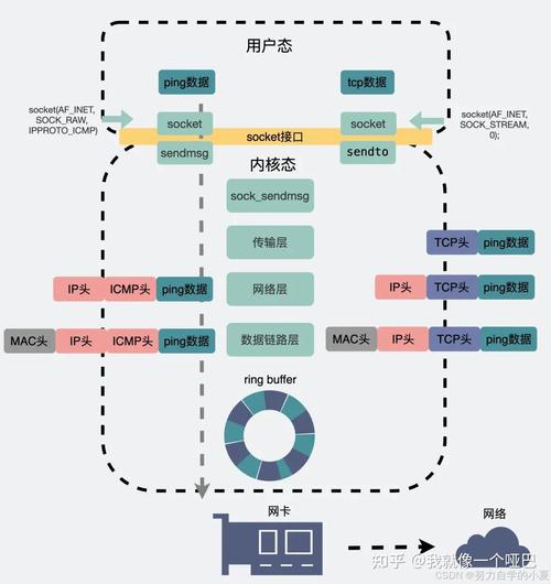 了解网络连通性和网络延迟，即通常所说的ping值，对于日常的网络使用尤其是网络游戏、在线会议等对实时性要求较高的场景极为重要。那么，如何查看和评估ping值就成为了一个值得探讨的话题。下面将深入介绍与ping值相关的操作方法、评估标准以及实用技巧。