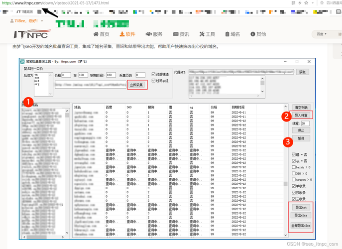 数字域名批量查询指南