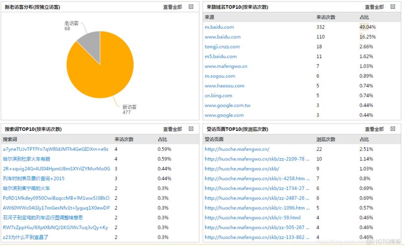 在数字化时代，网站流量分析成为了解和优化网站表现的关键工具。查询域名点击量，即了解特定网站的访问量，对于评估网站影响力、用户参与度以及市场策略的有效性至关重要。下面将详细介绍如何进行域名点击量查询，包括使用的工具、解读数据的方法以及根据数据分析采取的策略改进措施