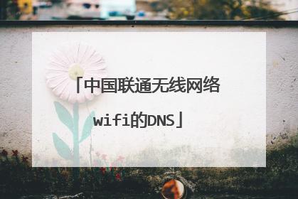 深入了解临沂联通DNS