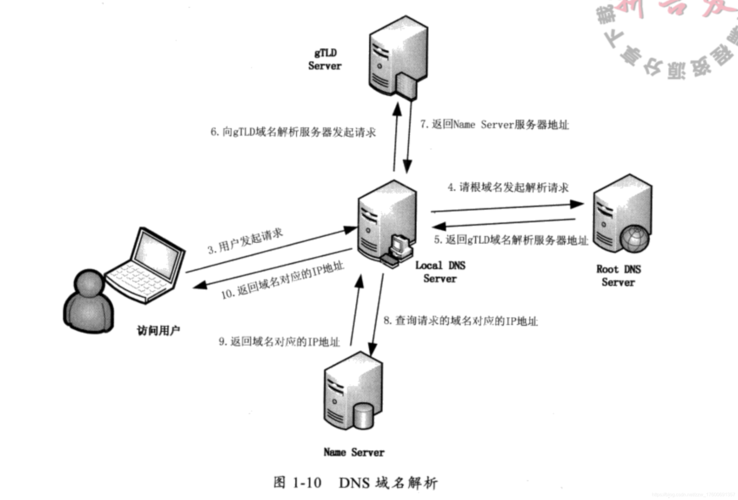 1. 域名系统基础