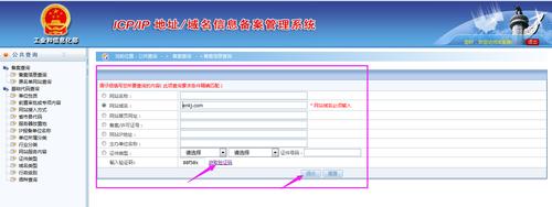 深入了解域名信息查询