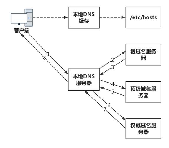 DNS的宽度与长度