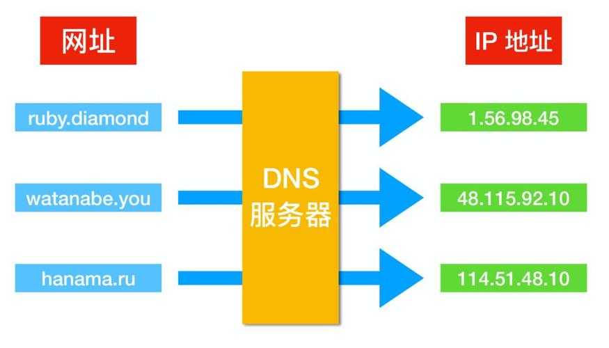 DNS的宽度与长度