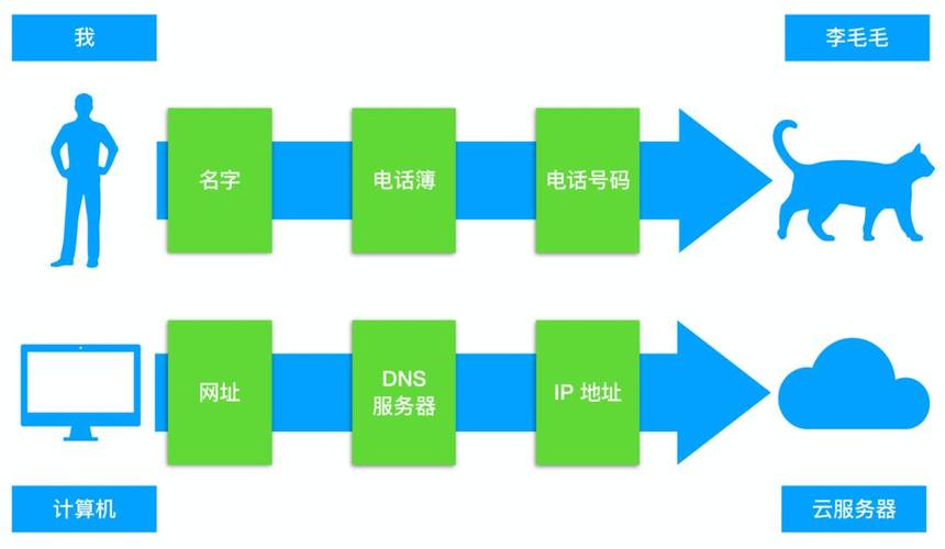 如何通过DNS优化提升你的网络连接速度？