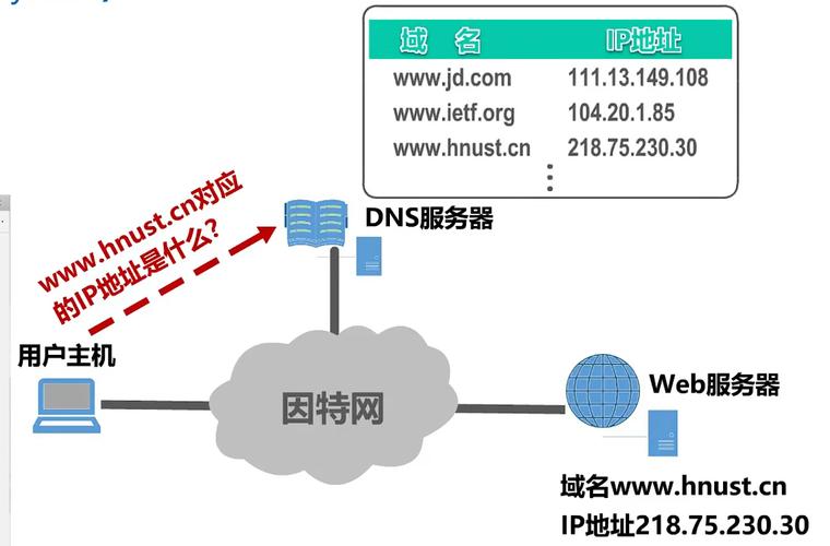 用户dns