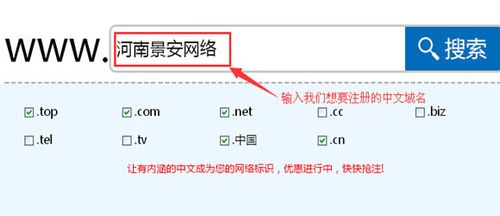 在互联网的世界中，域名相当于网站的门牌号，是访问特定网站的重要途径。而中文域名，作为含有中文字符的域名，对于华语用户来说既方便又易于记忆。下面将详细介绍如何查询中文域名的详细步骤和注意事项