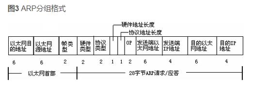 Ping的基本应用