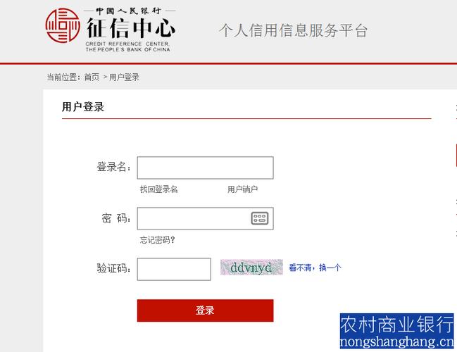 公安网征信查询系统简介