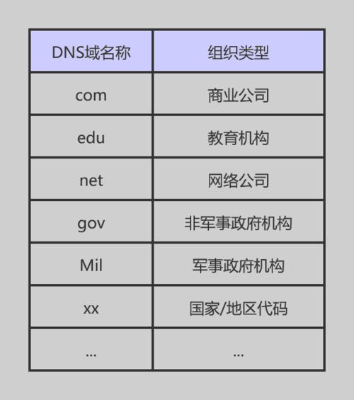 全国DNS服务器概览