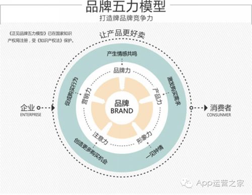 在互联网时代，域名不仅是一个网站的身份标识，也是企业和个人品牌资产的重要组成部分。了解域名的相关信息，包括所有者、到期时间等，对于管理自己的网络资源或进行投资决策都至关重要。下面将详细介绍如何查询域名信息，以及这一过程中的关键要点。