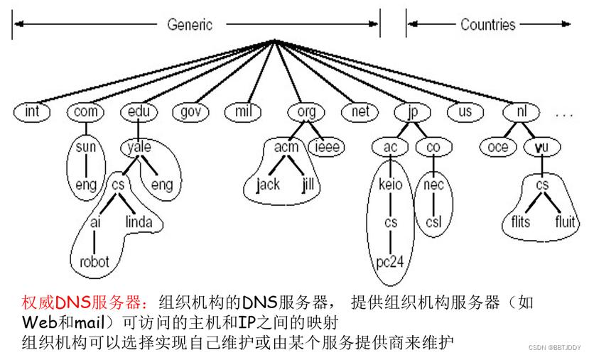 在互联网的世界中，DNS（Domain Name System）扮演着至关重要的角色。它负责将人类可读的网站域名翻译成机器可读的IP地址，使得网络浏览和通信成为可能。接下来，将详细探讨不同的DNS服务器，并提供比较分析。