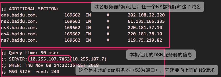 DNS dig命令的使用详解