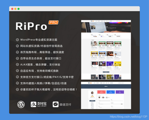 如何查询 WordPress 网站模板