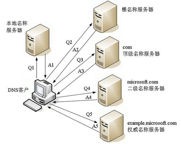 深入了解域名查询服务