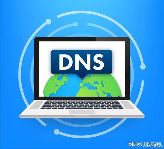 什么是dns？