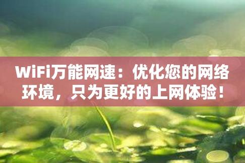 在国内，DNS服务的质量直接影响到网民的上网体验。一个好的DNS服务不仅能够提升网络访问速度，还能确保网络的安全性和稳定性。下面将详细介绍几款国内备受欢迎的DNS服务