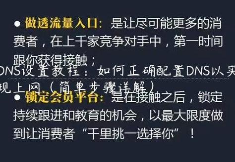 了解DNS（Domain Name System）的重要性以及如何正确配置它，对于确保互联网访问速度和安全性有着至关重要的作用。下面将深入探讨DNS的配置方法，并提供一些实用建议来优化DNS性能。