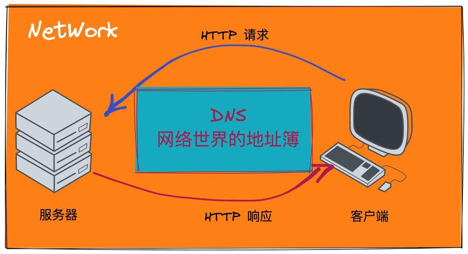 DNS导航，互联网的地址簿