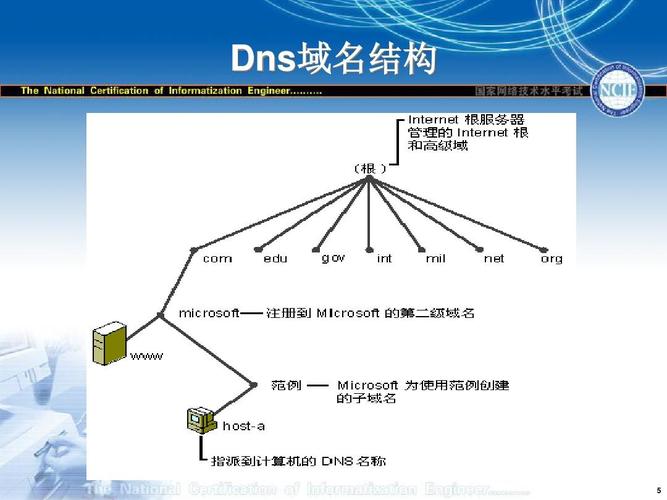 DNS的全称及其重要性