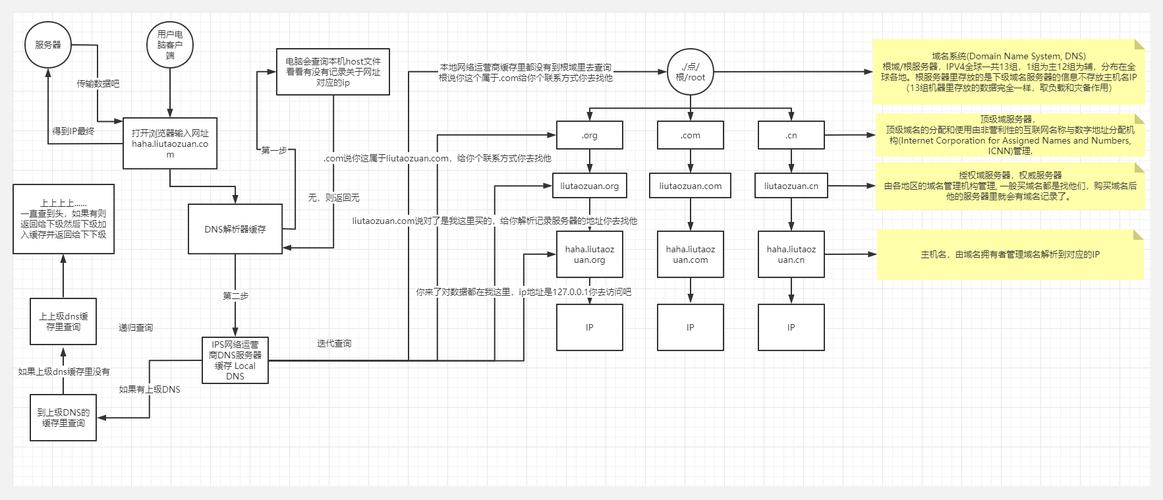 初始化DNS详细步骤及理解