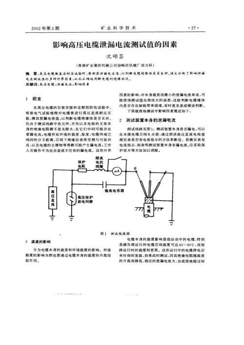 DNS泄漏测试的定义与重要性