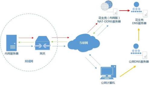 深入理解EA DNS及其对在线游戏性能的影响